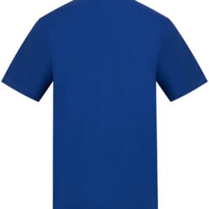 AWDis Unisex 180 T-Shirt AWDis — AT002 ROY BACK