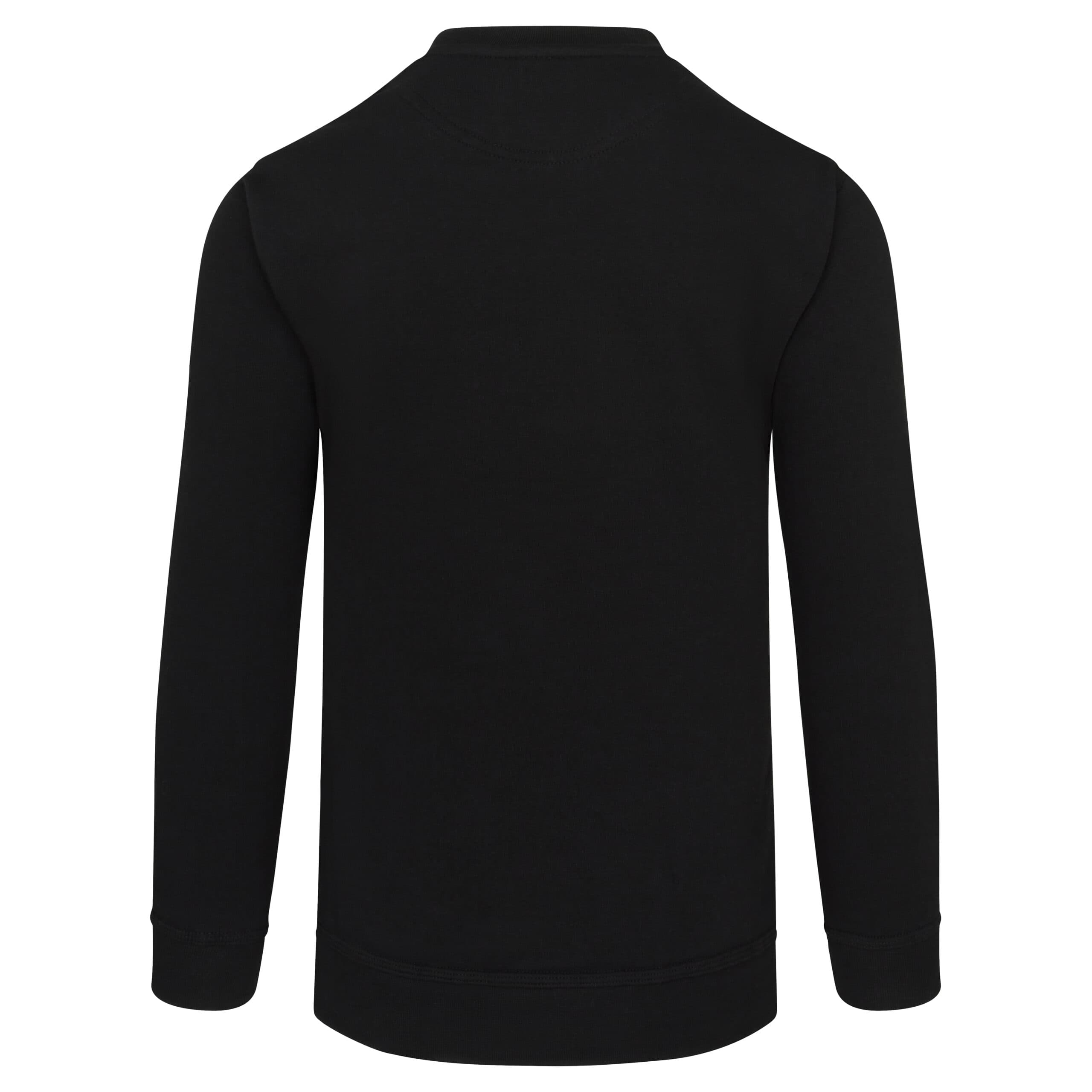ORN 1255 Seagull 100% Cotton Sweatshirt — 1255bkbh