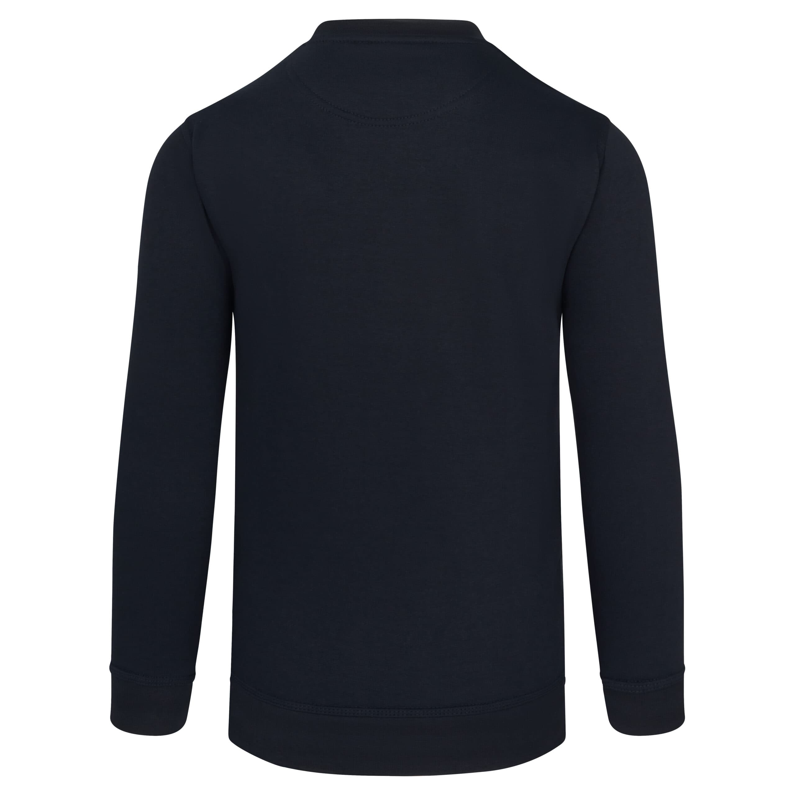 ORN 1260 Buzzard V-Neck Sweatshirt — 1260nvbh